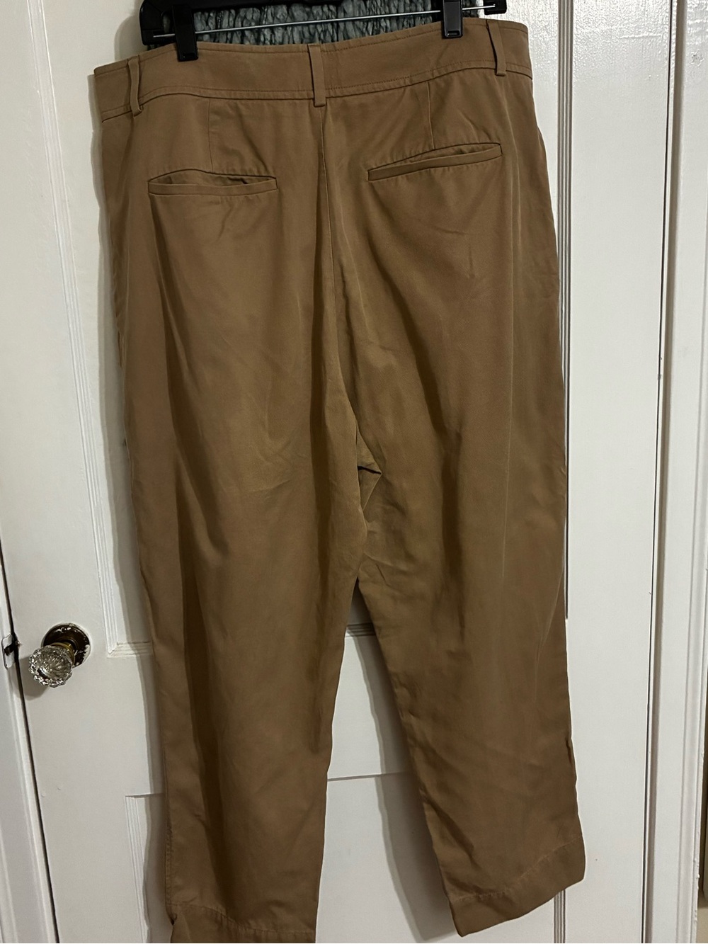 Everlane Cropped Ankle Chino Pants in Camel